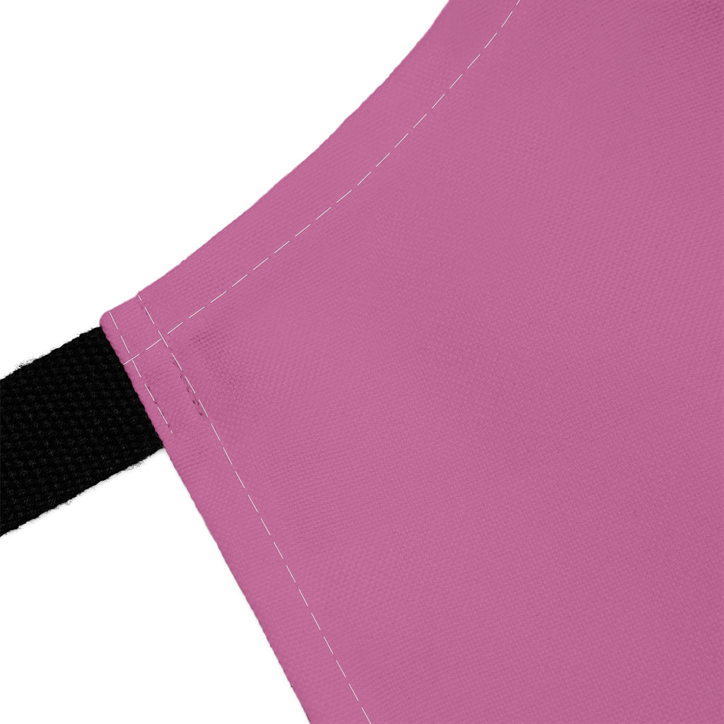 Seasoned With Confidence Apron